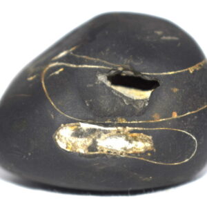Achyuta Shaligram