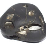 Vishvaksena Shaligram