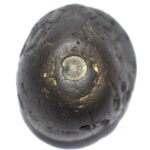 Sarvottam Gadadhara Mahavishnu Shankha Govind Narayan Shaligram