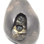 Adwaitya Golden Baglamukhi Dasha Mahavidya Shaligram