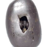 CatraKara Gopala Shaligram