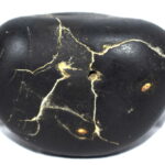 Sarvottam Adwaitya Shiva Shaligram