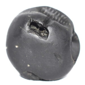 Janardhana Shaligram