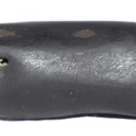 Matsya Shaligram