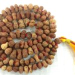 Rare 14 Mukhi Rudraksha Mala - 108+1