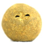 ShriVatsalAnchana Shaligram