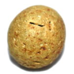 ShriVatsalAnchana Shaligram