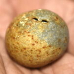Pitambara Shaligram