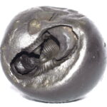 Vishnu Shaligram