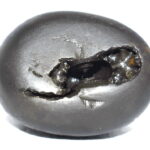 Parijatahara Krishna Shaligram