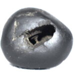 Shridhara Shaligram