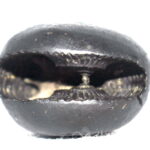 DamshtriKarala Narsimha Shaligram