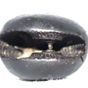 DamshtriKarala Narsimha Shaligram