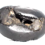 Aghora Narsimha Shaligram