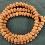 11 Mukhi Rudraksha Mala - 108+1 Beads