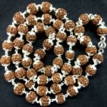 Rudraksha Chikna Beads Mala In Pure Silver - 8 mm