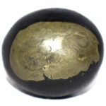 HiranyaGrabha Shaligram