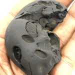 Matsya Shaligram