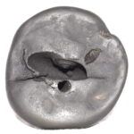 Laxmi Narayan Shaligram