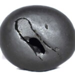 Rukmani Krishna Shaligram