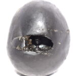 Varaha Shaligram / AnkushaKara Bhu Varaha Salagram