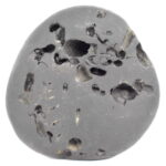 VishvaRupa Shaligram