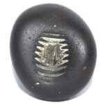 Sarvottam Shweta Crystal Padmavati Venkateshwara Shaligram