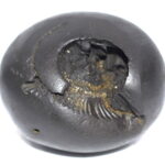 Vaikuntha Shaligram