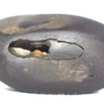 VanaRama Shaligram