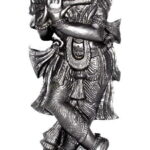 Lord Krishna Murti on Natural Shaligram
