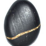 Sarvottam Yellow Radha Krishna Shaligram