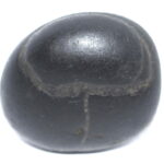 Buddha Shaligram / Usnisa Sitatapatra Salagram