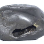 Vishnu Shaligram