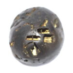Ananta Shaligram