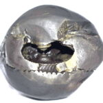 Santan Gopala Shaligram