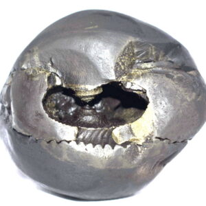 Santan Gopala Shaligram