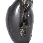 Adwaitya Shweta Crystal Dhumavati Dasha MahaVidya Shaligram