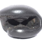Upendra Shaligram