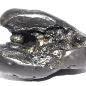 Hayagriva Shaligram