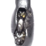 Tripura Bhairavi Shaligram
