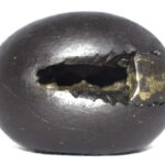 Vamsha Gopala Krishna Shaligram