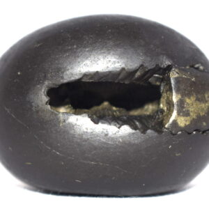 Vamsha Gopala Krishna Shaligram