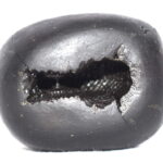 Yoga Narsimha Shaligram