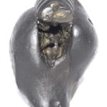 Adwaitya Shweta Crystal Dhumavati Dasha MahaVidya Shaligram