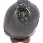 Adwaitya Golden Shweta Matangi Dasha MahaVidya Shaligram