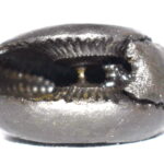 Vishnu Shaligram