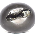 Hari Shaligram