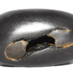 CatraKara Gopala Shaligram