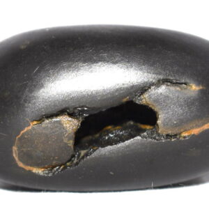CatraKara Gopala Shaligram
