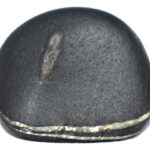 Sacred Adwaitya Tilakdhari Shweta Janardhana Shreedhara Shaligram